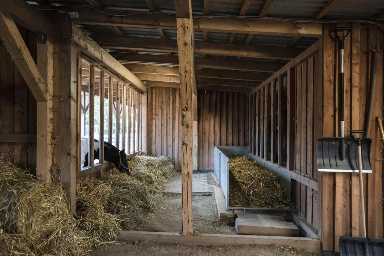 Ranchhouse Bubble - Westernstable - Horse Elterlein Luaran gambar