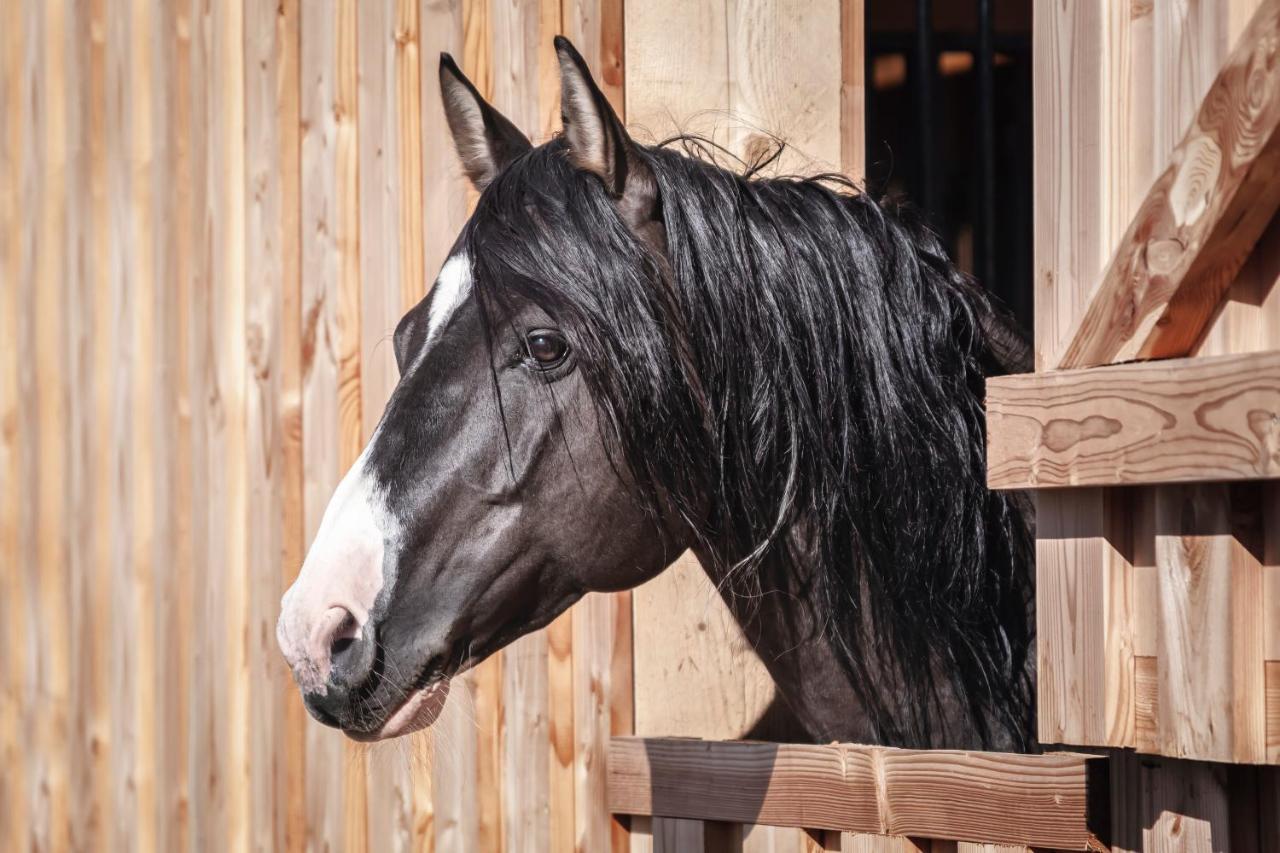 Ranchhouse Bubble - Westernstable - Horse Elterlein Luaran gambar